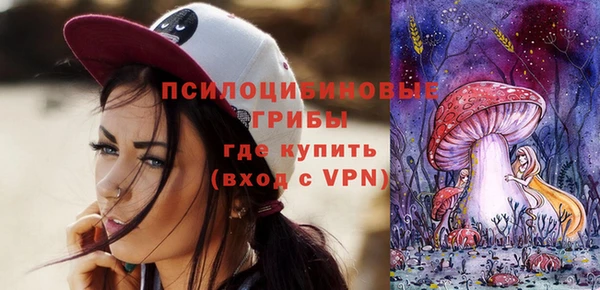 ГАЛЛЮЦИНОГЕННЫЕ ГРИБЫ Горнозаводск