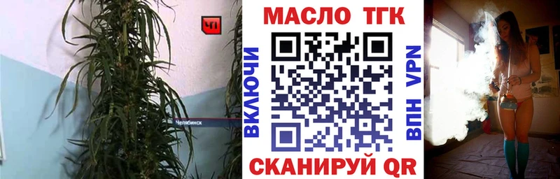 Купить где  Заречный  ТГК концентрат 