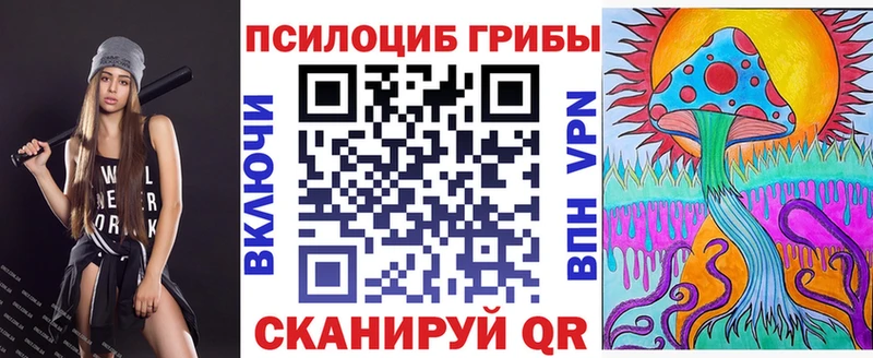 Купить  Заречный  Галлюциногенные грибы Psilocybine cubensis 