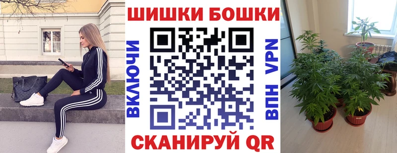Купить закладки Заречный Бошки Шишки THC 21%